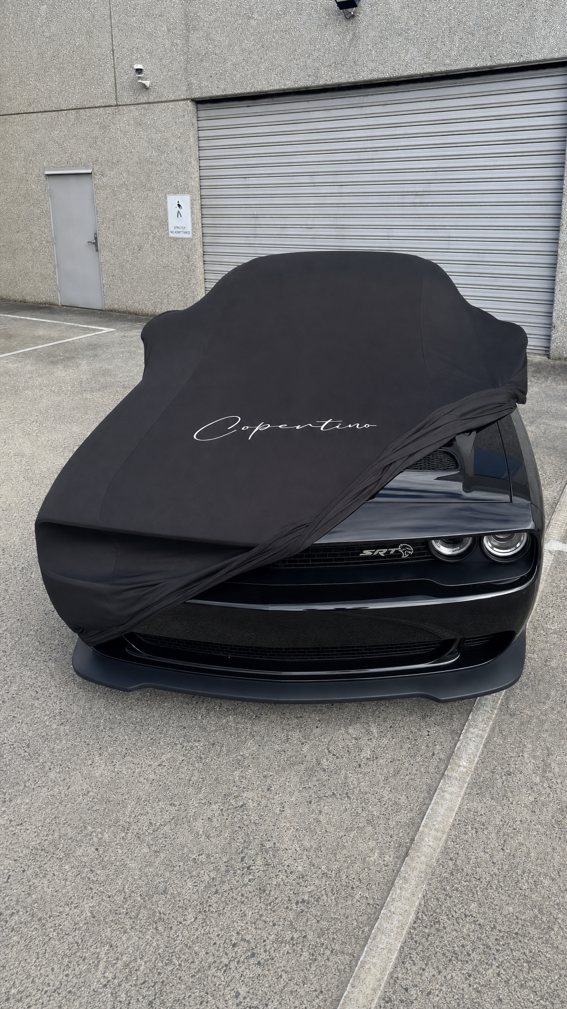 Copertino Grande - L